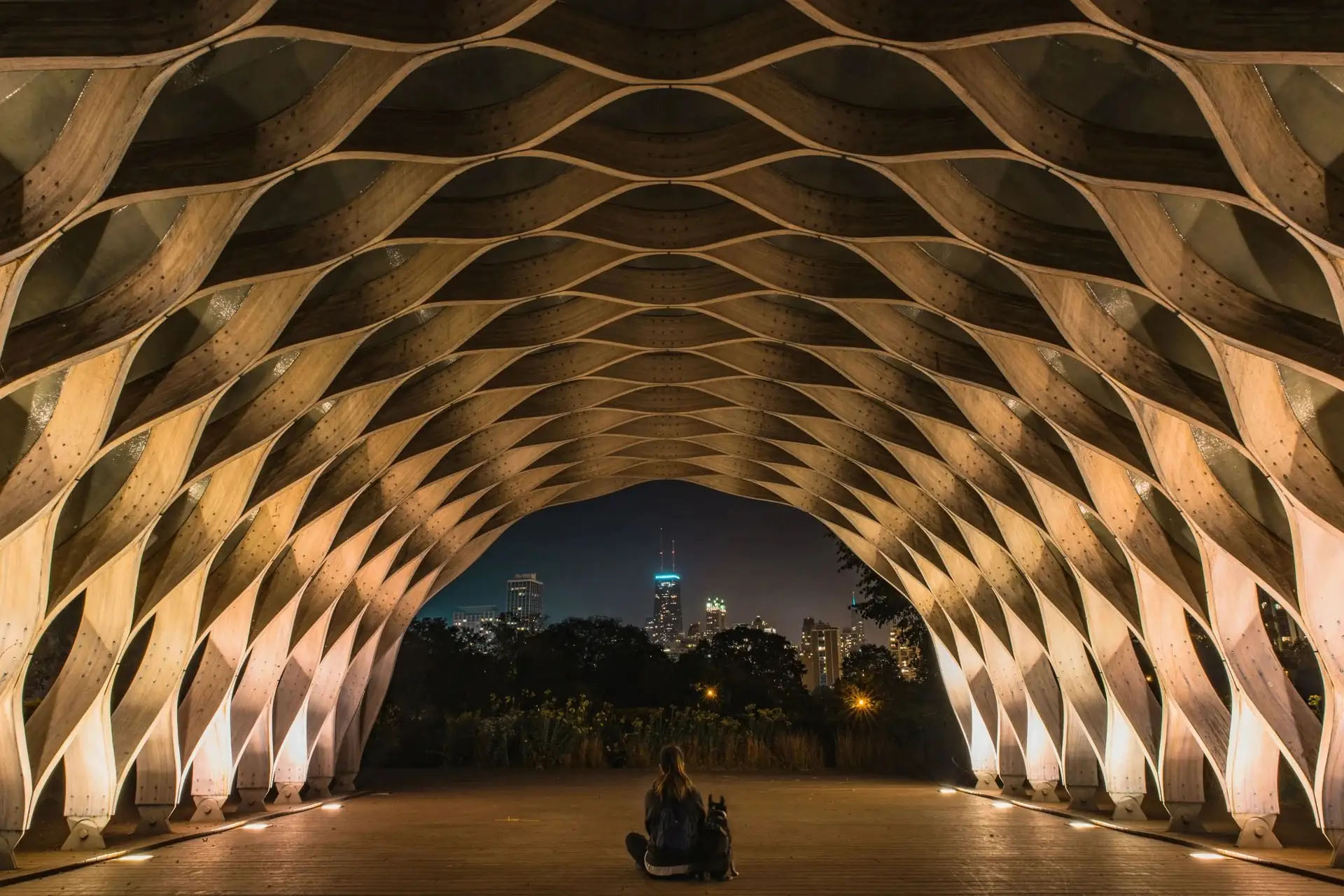 Chicago skyline framed by illuminated architecture